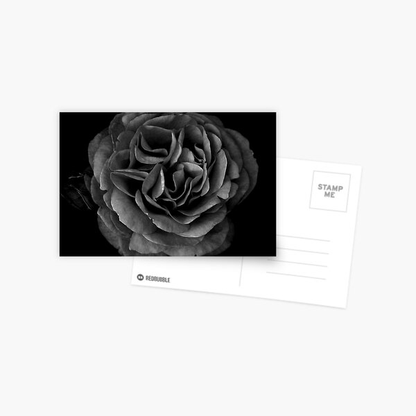 Charcoal Postcard