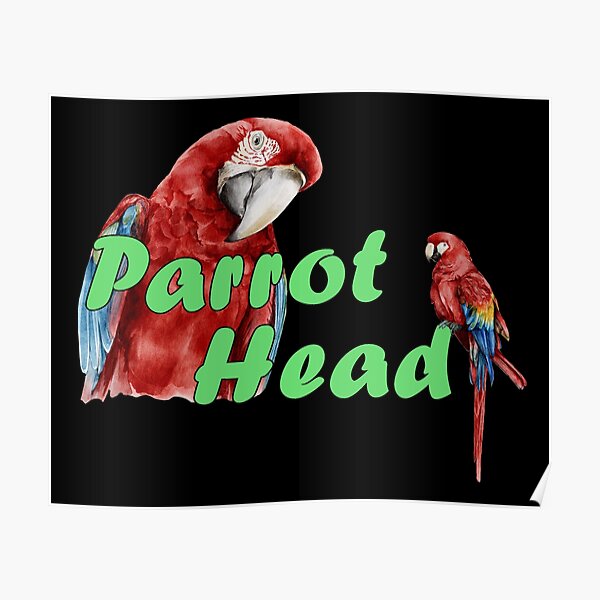 jealous-husband-returns-in-form-of-parrot-jealous-husband-returns-in