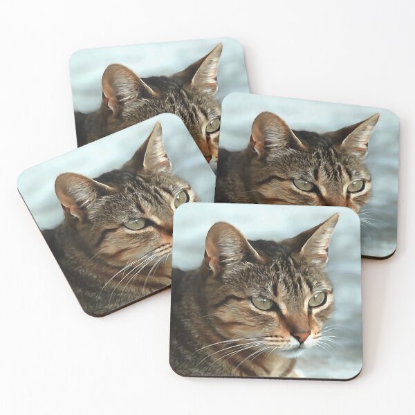 Item preview, Stunning Tabby Cat Acrylic Pet Portrait  designed and sold by taiche.