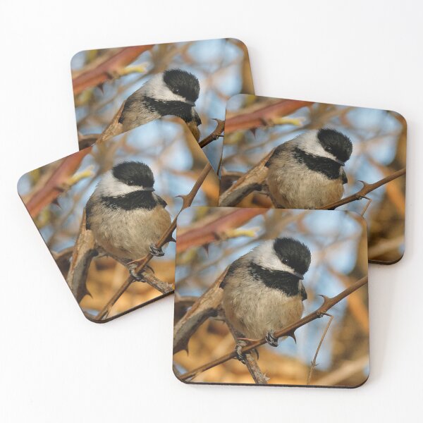 Item preview, A Curious Black-Capped Chickadee in the Forest designed and sold by walkswithnature.