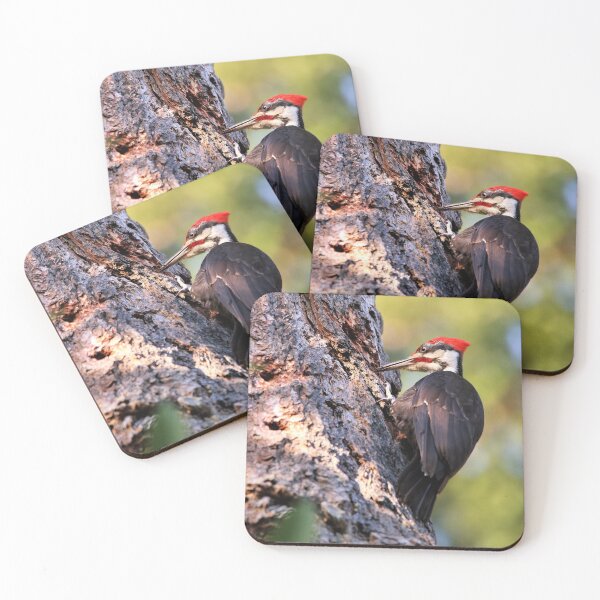 Item preview, An Industrious Male Pileated Woodpecker designed and sold by walkswithnature.