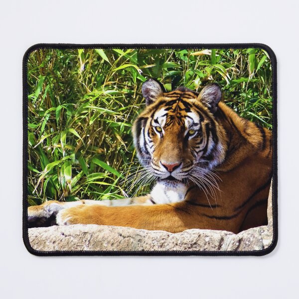 Item preview, Tiger designed and sold by Ancient Realms.