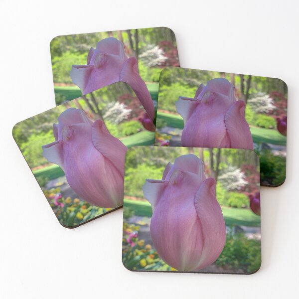 Item preview, Spring Tulip designed and sold by Craig Kauzmann.