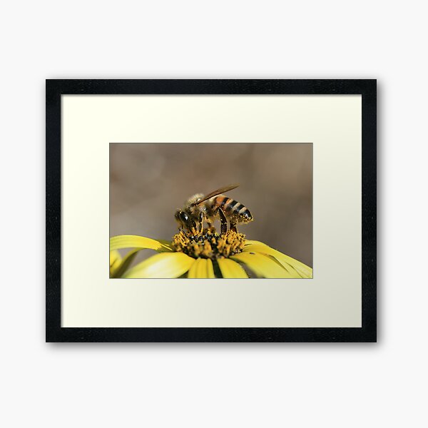 Table Top Dining Framed Art Print