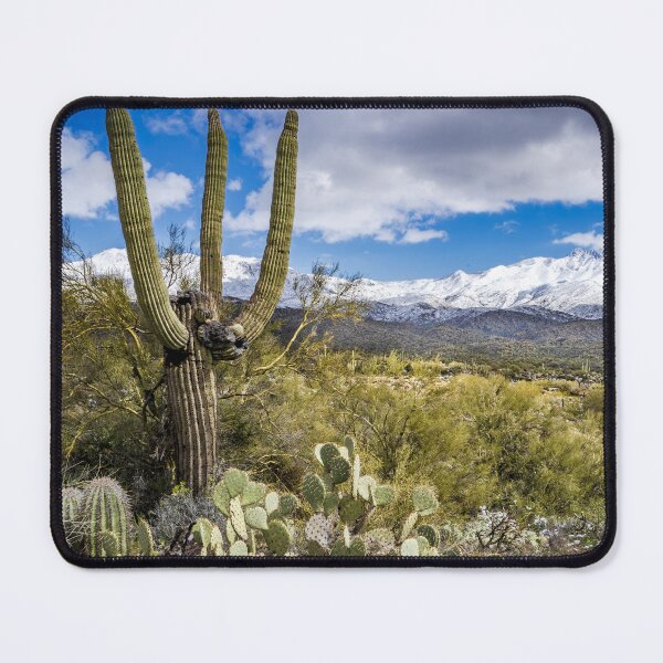 Item preview, Desert Cactus 1 designed and sold by muskitt.