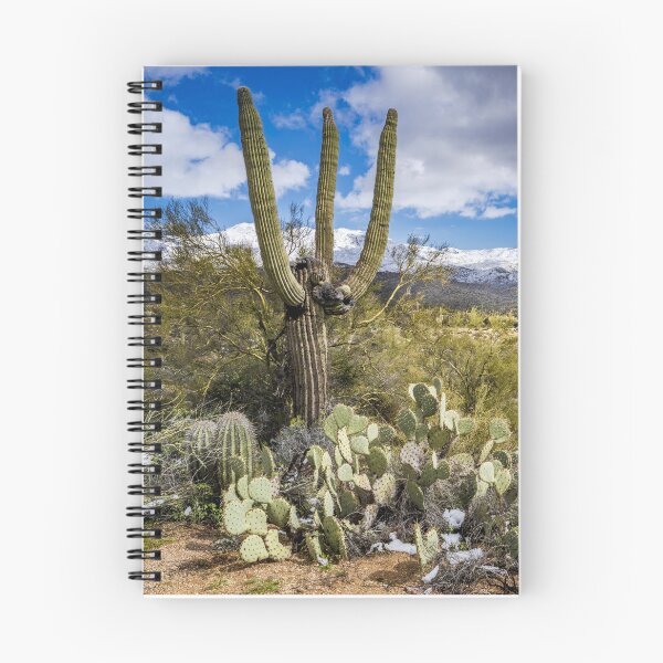 Item preview, Desert Cactus 1 designed and sold by muskitt.