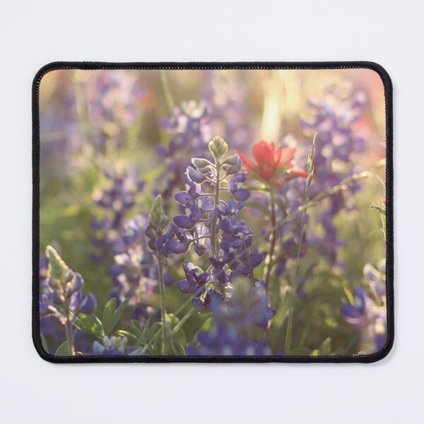 Item preview, Blue Bonnet Sunset designed and sold by Olivia Plasencia.