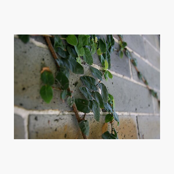 Item preview, Creeping designed and sold by HeidiD.