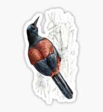 Mr Tieke, New Zealand Saddleback Sticker