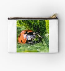 Ladybird (Coccinellidae) Studio Pouch