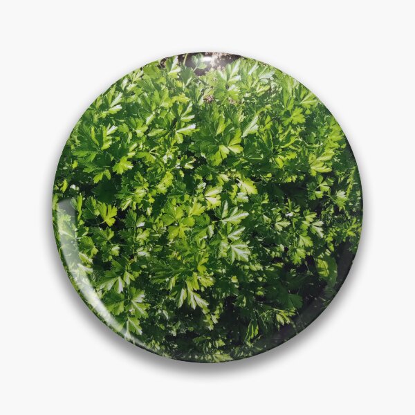 Item preview, Parsley in a vegetable garden designed and sold by Gaspar Avila.
