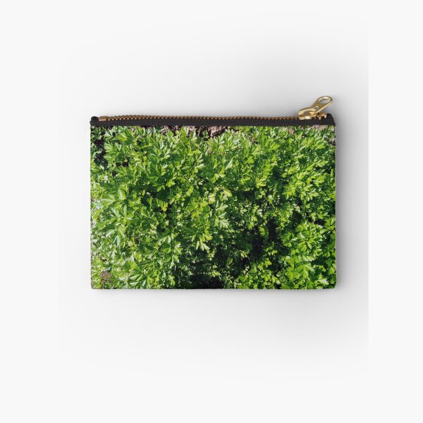 Item preview, Parsley in a vegetable garden designed and sold by Gaspar Avila.