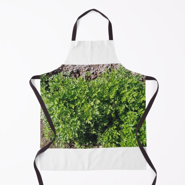 Item preview, Parsley in a vegetable garden designed and sold by Gaspar Avila.