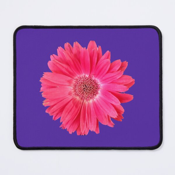 Item preview, Pink Gerber Daisy  designed and sold by AmandaFaye99.
