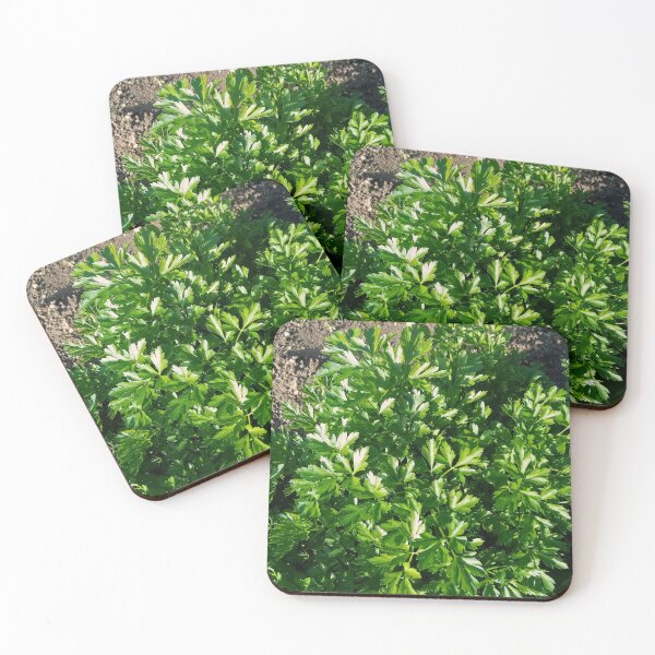 Item preview, Parsley in a vegetable garden designed and sold by Gaspar Avila.