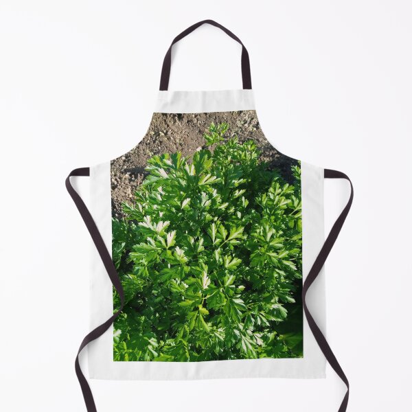 Item preview, Parsley in a vegetable garden designed and sold by Gaspar Avila.