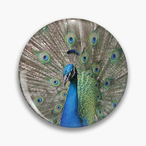 Item preview, Full Plume designed and sold by ItsCoops.