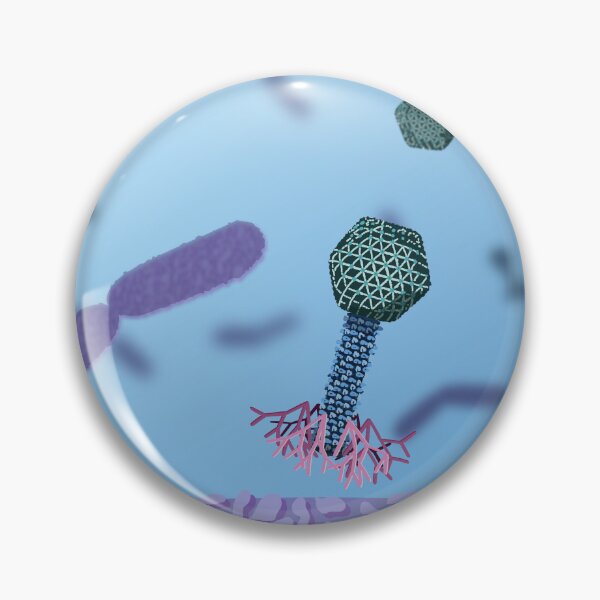 Item preview, Flowerphage (ϕKp24) with its host Klebsiella pneumoniae designed and sold by Animini-Vera.