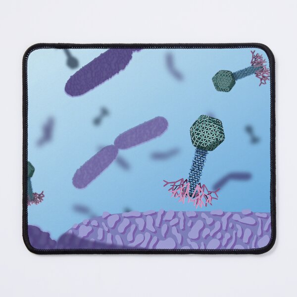 Item preview, Flowerphage (ϕKp24) with its host Klebsiella pneumoniae designed and sold by Animini-Vera.