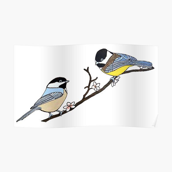 "Chickadees on flowering Cherry Blossom Tree branch" Poster for Sale by ...