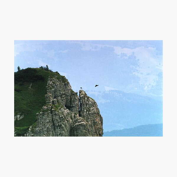 Eagles Photographic Print