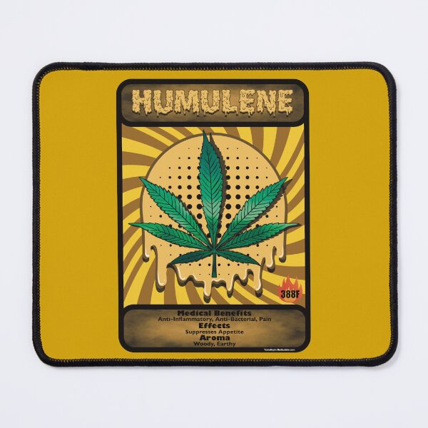 Item preview, Cannabis terpene Humulene medical benefits and effects trading card style designed and sold by YomeHayin.