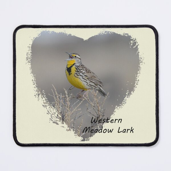 Item preview, Western Meadowlark designed and sold by Whisperingpeaks.