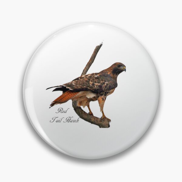 Item preview, Red Tailed Hawk on Perch designed and sold by Whisperingpeaks.