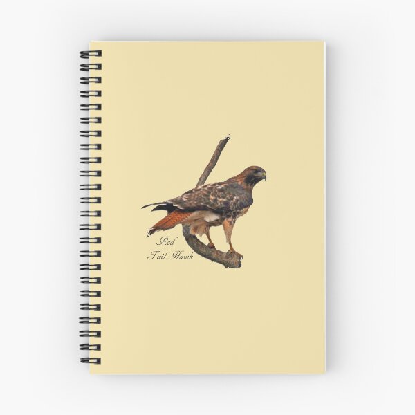 Item preview, Red Tailed Hawk on Perch designed and sold by Whisperingpeaks.