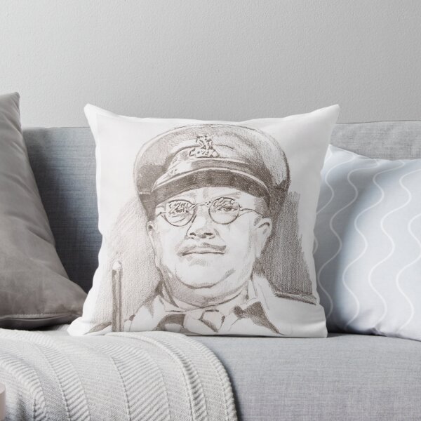 Throw Pillow