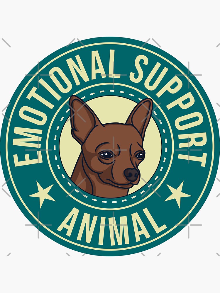 Emotional store support chihuahua