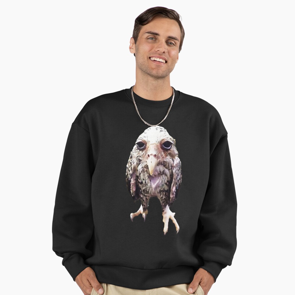 Wet Owl Meme Art Premium T-Shirt