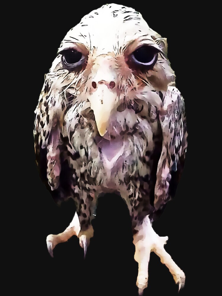 Wet Owl Meme Art Premium T-Shirt