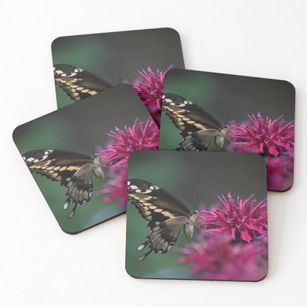 Item preview, Pollinator designed and sold by IanChilds.