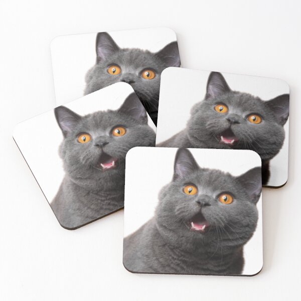 Item preview, Shocked cat designed and sold by Racoonzz.