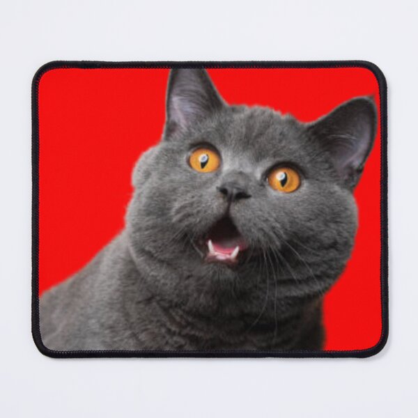 Item preview, Shocked cat designed and sold by Racoonzz.