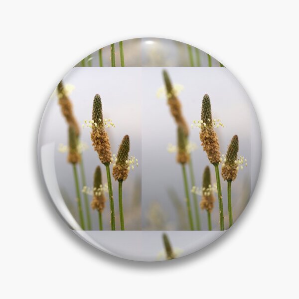 Item preview, Wild Flower by Avril Thomas - photography designed and sold by AvrilThomasart.