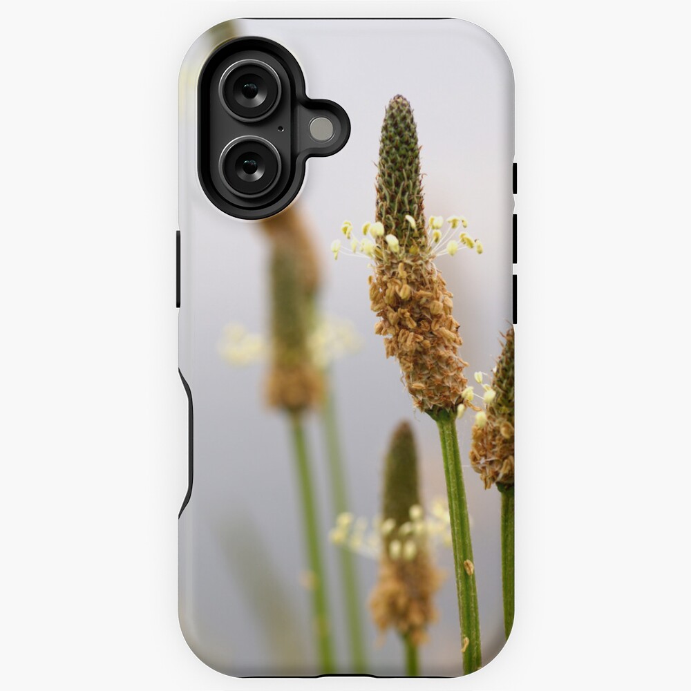 Item preview, iPhone Magsafe Tough Case designed and sold by AvrilThomasart.
