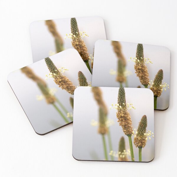 Item preview, Wild Flower by Avril Thomas - photography designed and sold by AvrilThomasart.