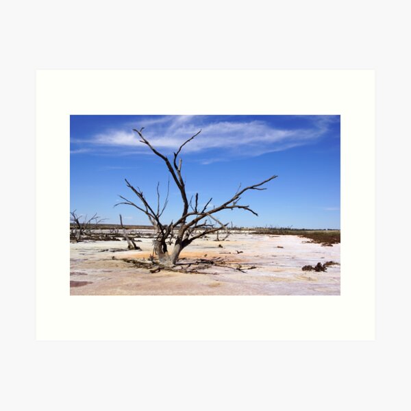 Dry Salt Pan and Dead Tree - Photography by Avril Thomas Art Print