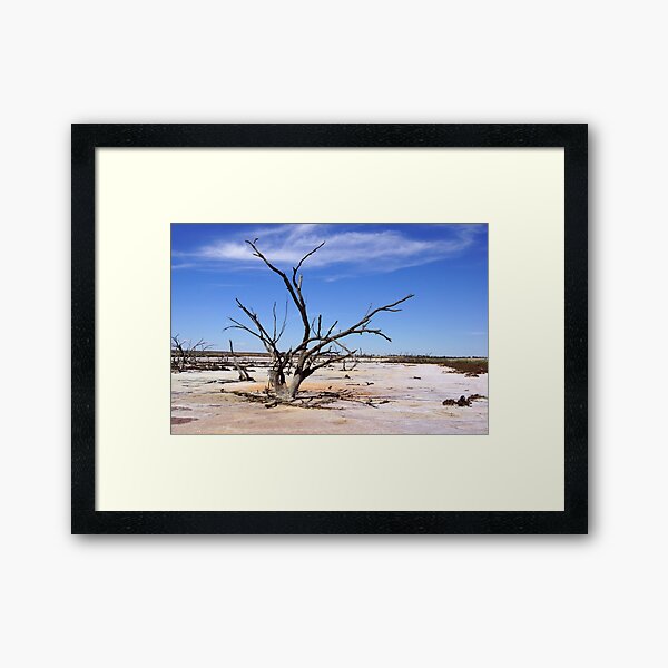 Dry Salt Pan and Dead Tree - Photography by Avril Thomas Framed Art Print