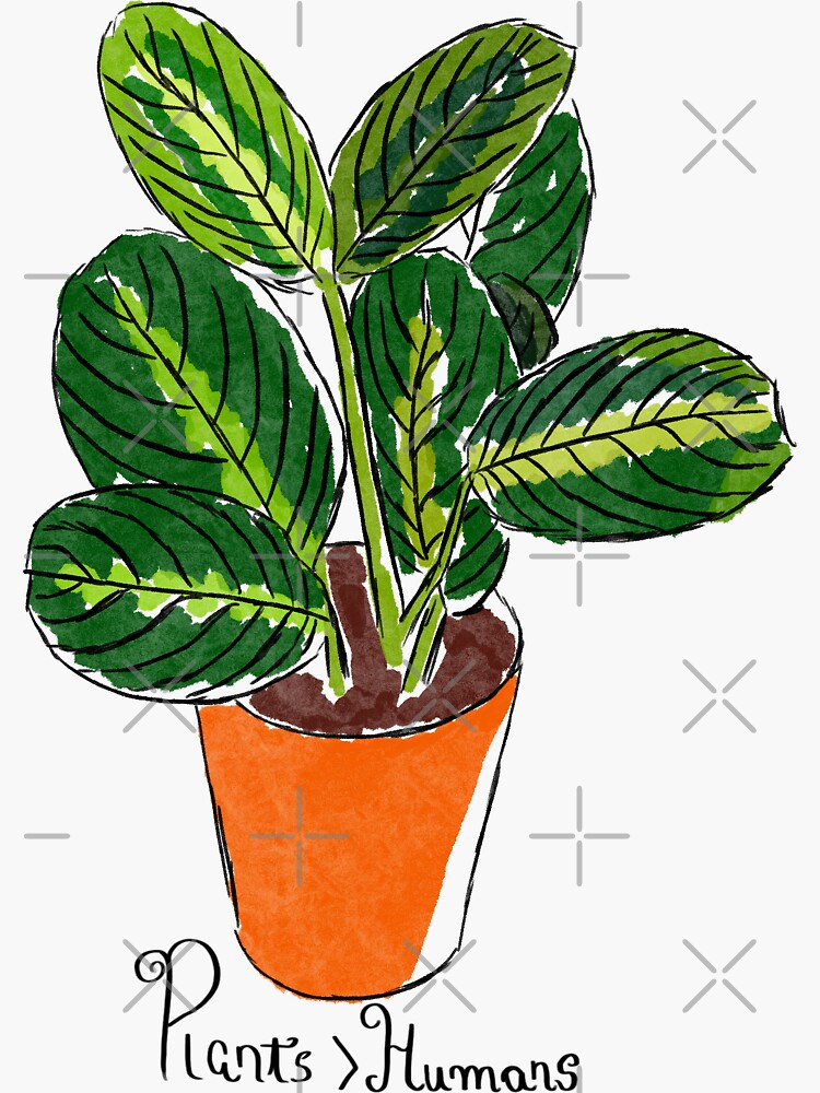 "Plants are better than humans" Sticker by GabbyFreitas Redbubble