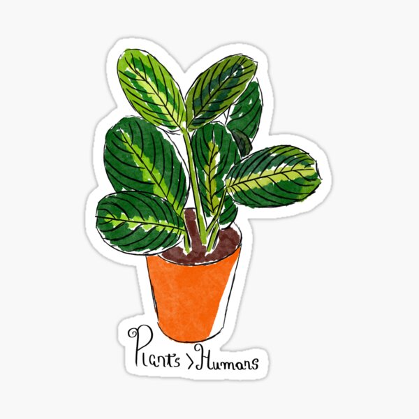 "Plants are better than humans" Sticker by GabbyFreitas Redbubble
