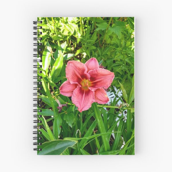Item preview,  Pink flower in a garden in summer designed and sold by Momentary.
