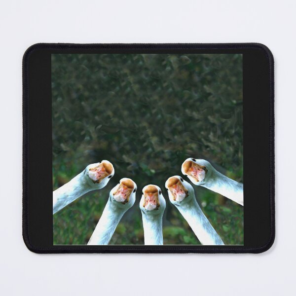 Item preview, Sticky Beak - by Avril Thomas designed and sold by AvrilThomasart.