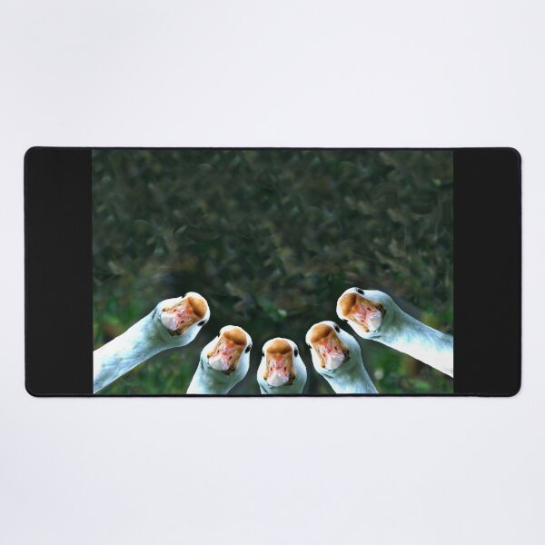 Item preview, Sticky Beak - by Avril Thomas designed and sold by AvrilThomasart.