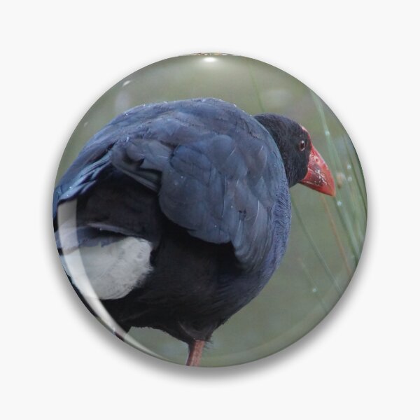 Item preview, Moorhen - photography by Avril Thomas designed and sold by AvrilThomasart.