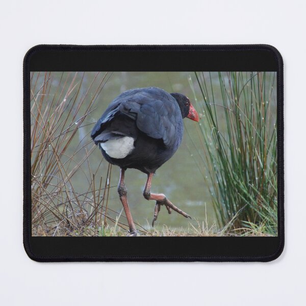 Item preview, Moorhen - photography by Avril Thomas designed and sold by AvrilThomasart.
