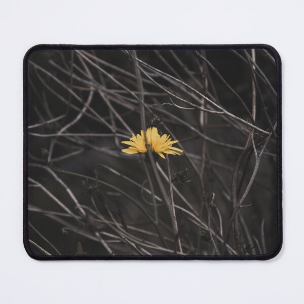 Item preview, Little lonely flower designed and sold by fotorealo.