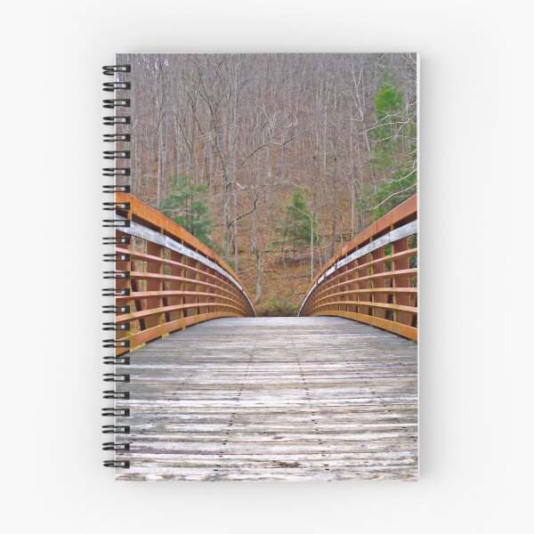 Item preview, The Curvature  designed and sold by Paul Lubaczewski.